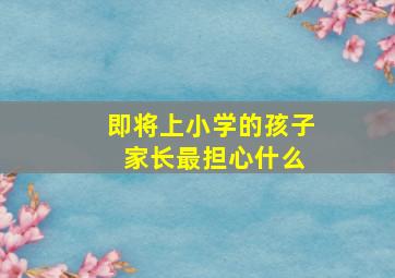 即将上小学的孩子 家长最担心什么